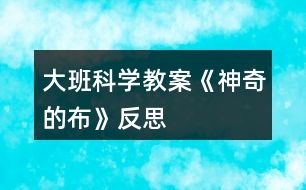 大班科學(xué)教案《神奇的布》反思