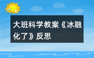 大班科學(xué)教案《冰融化了》反思