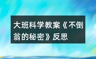 大班科學(xué)教案《不倒翁的秘密》反思