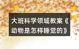 大班科學(xué)領(lǐng)域教案《動物是怎樣睡覺的》反思