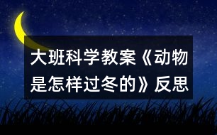 大班科學(xué)教案《動(dòng)物是怎樣過冬的》反思