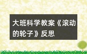 大班科學(xué)教案《滾動(dòng)的輪子》反思