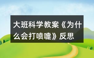 大班科學(xué)教案《為什么會(huì)打噴嚏》反思