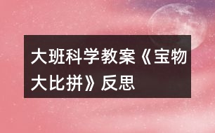 大班科學教案《寶物大比拼》反思