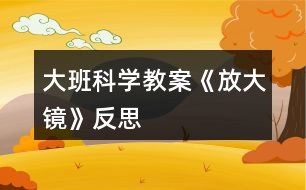 大班科學(xué)教案《放大鏡》反思