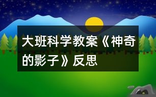 大班科學教案《神奇的影子》反思