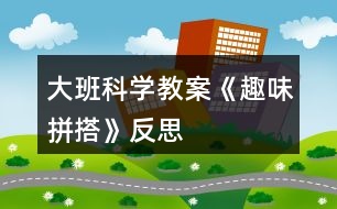 大班科學教案《趣味拼搭》反思