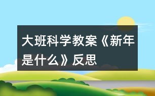 大班科學(xué)教案《新年是什么》反思