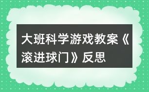 大班科學(xué)游戲教案《滾進(jìn)球門(mén)》反思