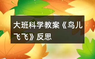 大班科學教案《鳥兒飛飛》反思