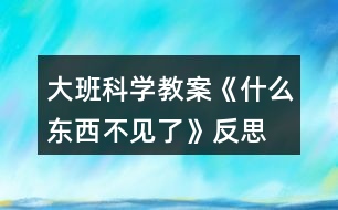 大班科學(xué)教案《什么東西不見了》反思