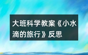 大班科學教案《小水滴的旅行》反思