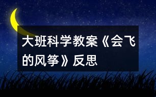 大班科學(xué)教案《會飛的風(fēng)箏》反思