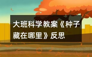 大班科學教案《種子藏在哪里》反思