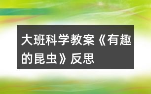 大班科學教案《有趣的昆蟲》反思