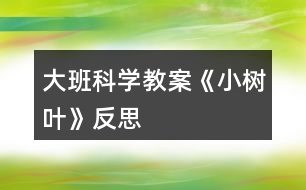 大班科學(xué)教案《小樹葉》反思