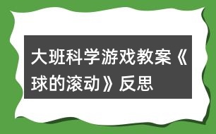 大班科學游戲教案《球的滾動》反思