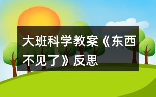 大班科學(xué)教案《東西不見了》反思