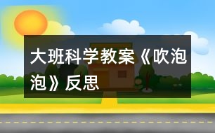 大班科學(xué)教案《吹泡泡》反思