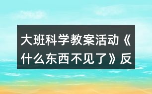 大班科學(xué)教案活動(dòng)《什么東西不見了》反思