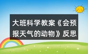 大班科學(xué)教案《會(huì)預(yù)報(bào)天氣的動(dòng)物》反思