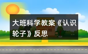 大班科學(xué)教案《認(rèn)識(shí)輪子》反思