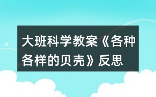 大班科學教案《各種各樣的貝殼》反思