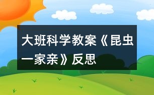 大班科學(xué)教案《昆蟲一家親》反思