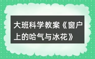 大班科學(xué)教案《窗戶(hù)上的哈氣與冰花》