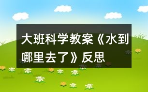 大班科學(xué)教案《水到哪里去了》反思