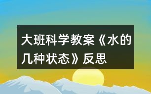 大班科學教案《水的幾種狀態(tài)》反思