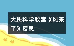 大班科學(xué)教案《風(fēng)來了》反思