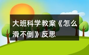 大班科學(xué)教案《怎么滑不倒》反思