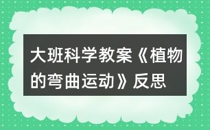 大班科學(xué)教案《植物的彎曲運動》反思