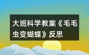 大班科學(xué)教案《毛毛蟲(chóng)變蝴蝶》反思