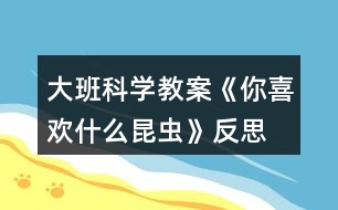 大班科學(xué)教案《你喜歡什么昆蟲》反思