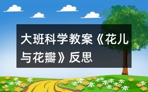 大班科學(xué)教案《花兒與花瓣》反思