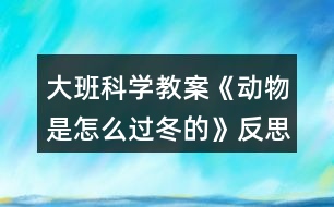 大班科學(xué)教案《動(dòng)物是怎么過(guò)冬的》反思