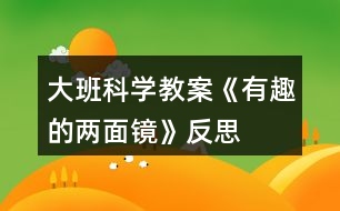 大班科學教案《有趣的兩面鏡》反思