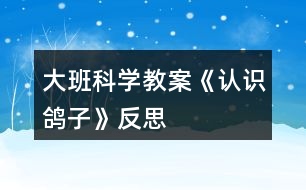 大班科學(xué)教案《認識鴿子》反思