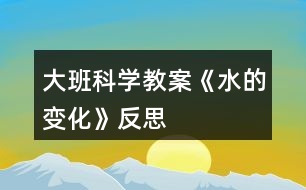 大班科學(xué)教案《水的變化》反思