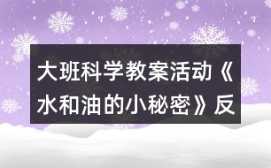 大班科學(xué)教案活動(dòng)《水和油的小秘密》反思