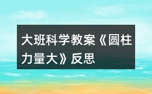 大班科學教案《圓柱力量大》反思