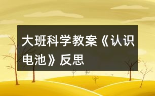 大班科學教案《認識電池》反思