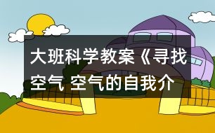 大班科學(xué)教案《尋找空氣 空氣的自我介紹 》反思