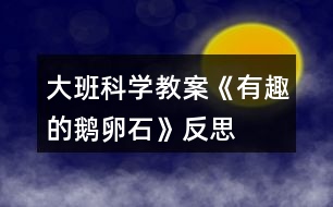 大班科學(xué)教案《有趣的鵝卵石》反思