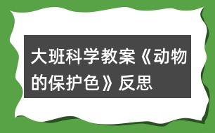 大班科學(xué)教案《動物的保護(hù)色》反思