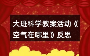 大班科學(xué)教案活動《空氣在哪里》反思