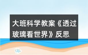 大班科學(xué)教案《透過(guò)玻璃看世界》反思