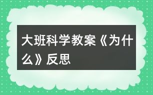 大班科學(xué)教案《為什么》反思